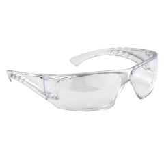 PW13 Clear View Spectacles 